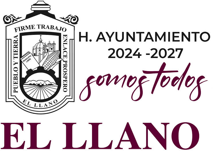 Municipio de El Llano